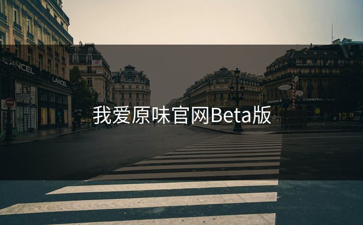 我爱原味官网Beta版