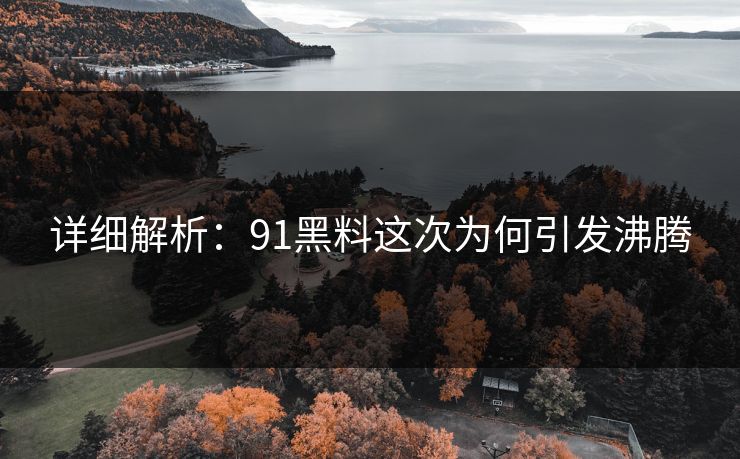 详细解析：91黑料这次为何引发沸腾
