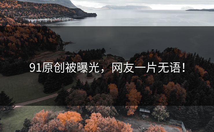 91原创被曝光，网友一片无语！