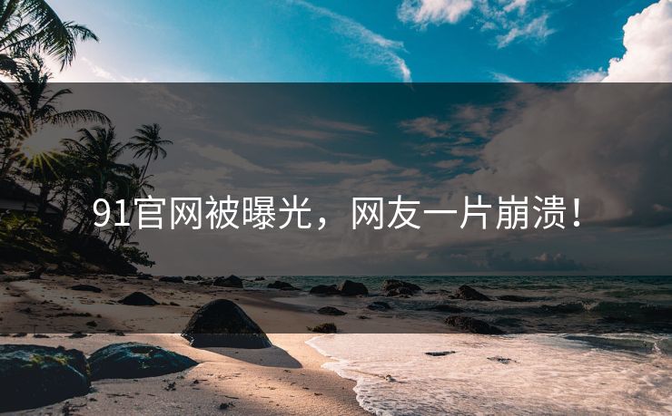 91官网被曝光，网友一片崩溃！