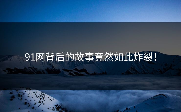 91网背后的故事竟然如此炸裂！