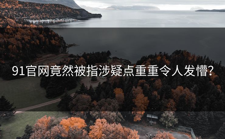 91官网竟然被指涉疑点重重令人发懵？
