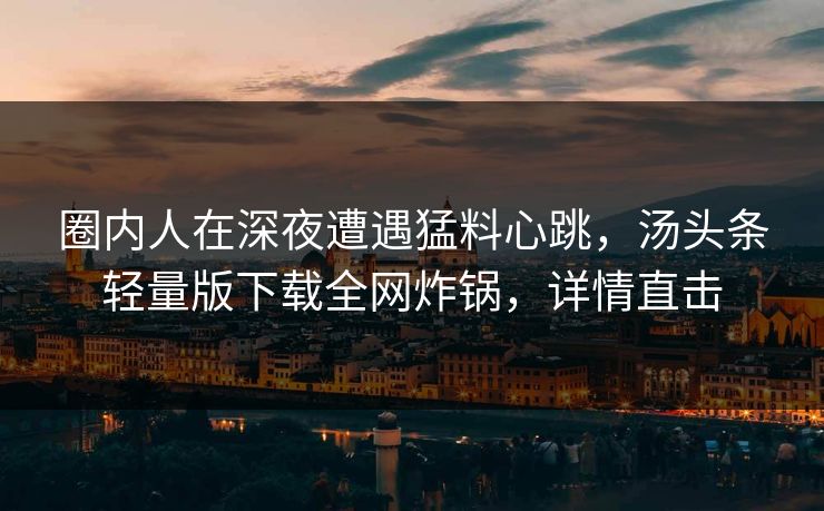 圈内人在深夜遭遇猛料心跳，汤头条轻量版下载全网炸锅，详情直击