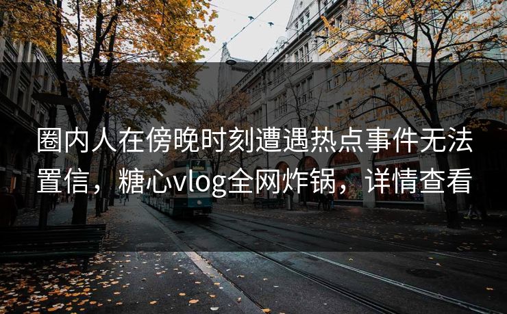 圈内人在傍晚时刻遭遇热点事件无法置信，糖心vlog全网炸锅，详情查看