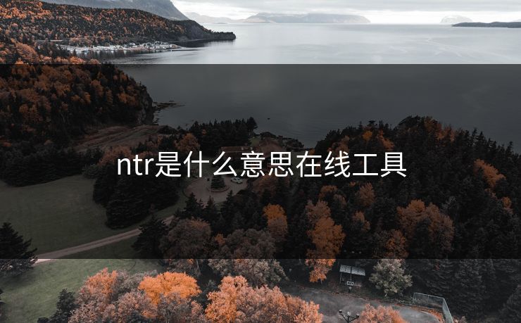 ntr是什么意思在线工具